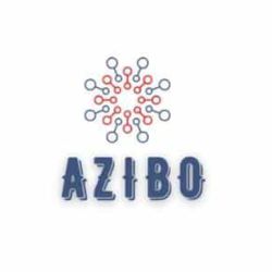 Domain for fashion brand | AZIBO.XYZ is on sale | BrandBrahma