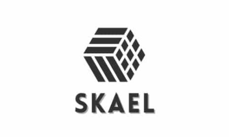 SKAEL.XYZ