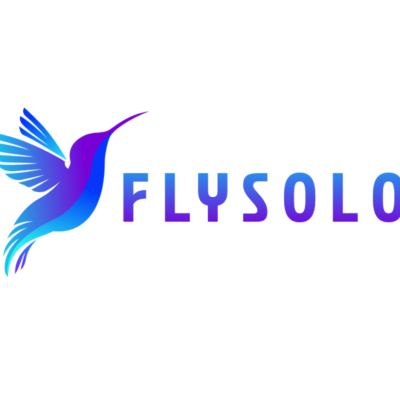 FlySolo.in – Premium Travel & Solo Adventure Domain for Sale