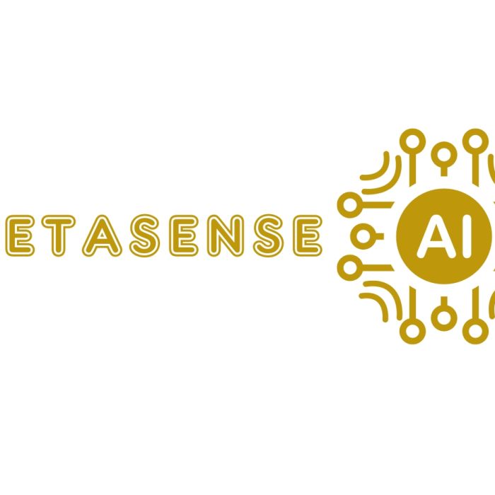 MetaSenseAI.com