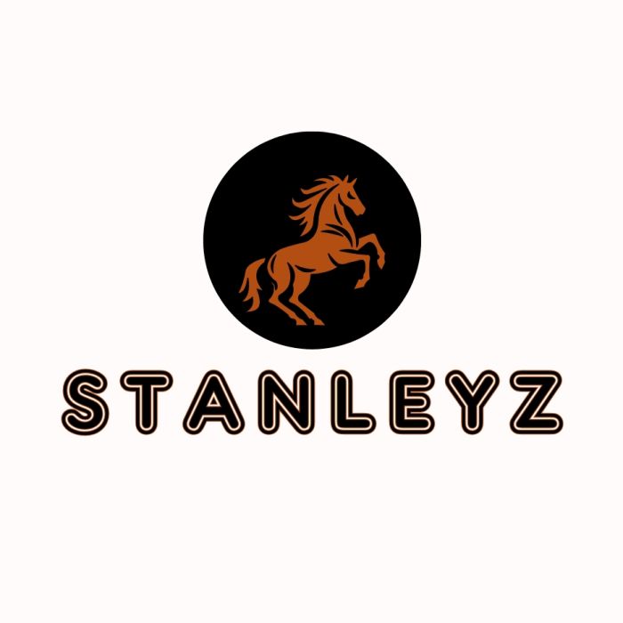 Stanleyz.com