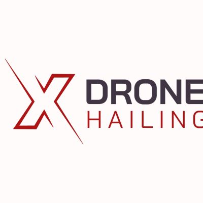 DroneHailing.com – Premium Domain for Sale | BrandBrahma.com