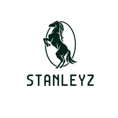 Stanelyz.com – Single-Word Brandable Domain for Startups