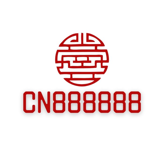 CN888888.com